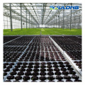 Sistemas de crecimiento hidropónico de tomate Invernadero de policarbonato